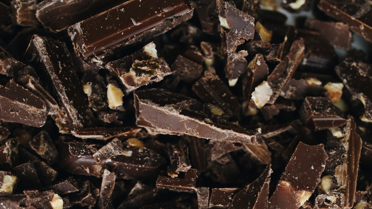chocolate sustainable economy
