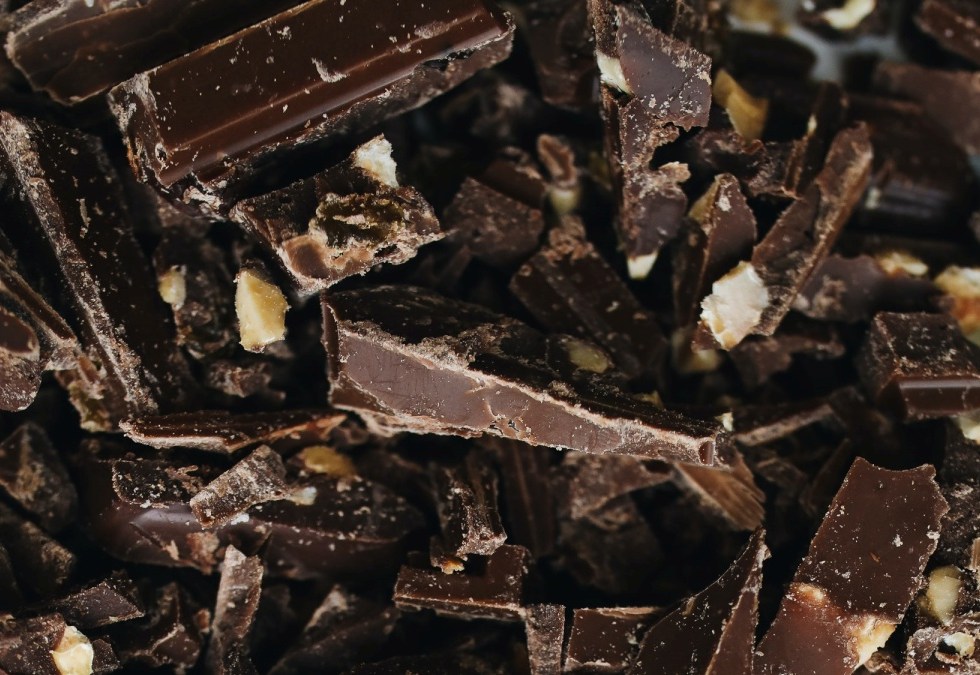 chocolate sustainable economy